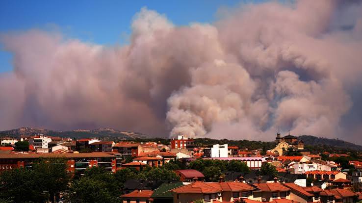 Wildfire