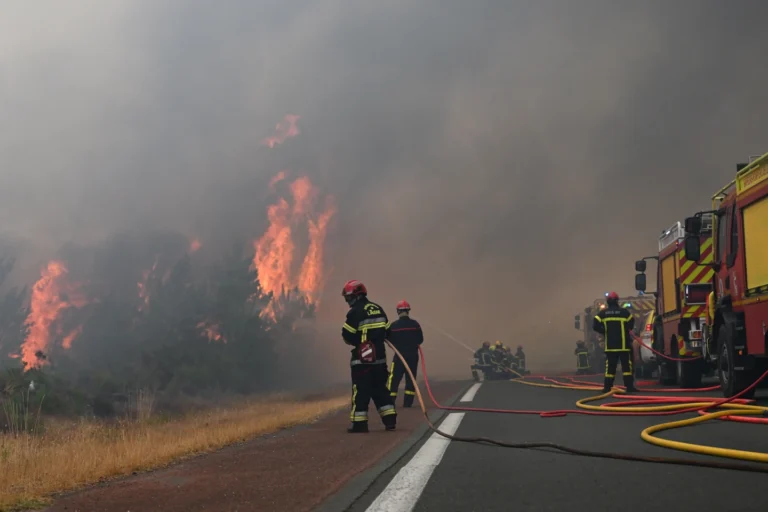 Wildfires