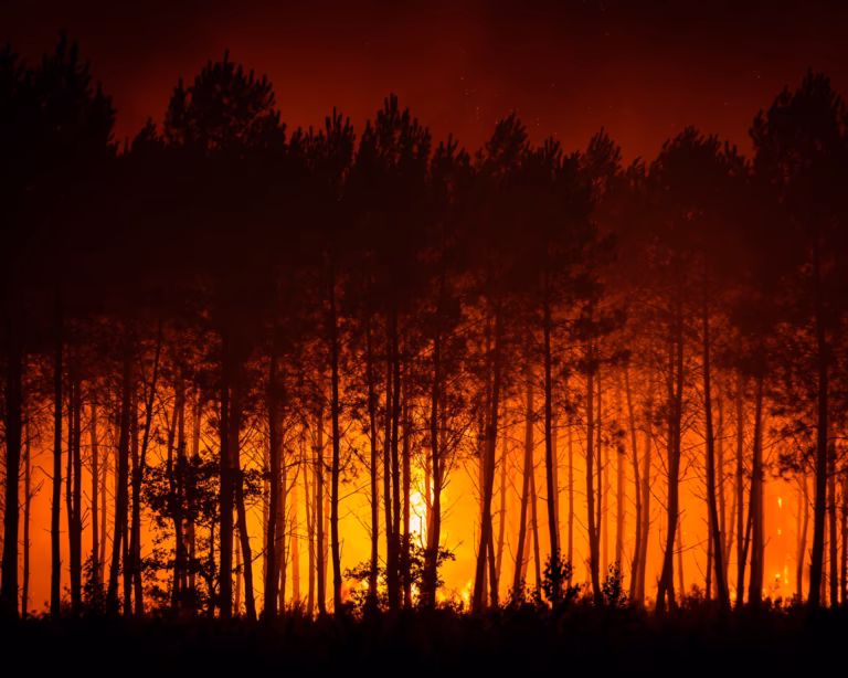 Wildfires