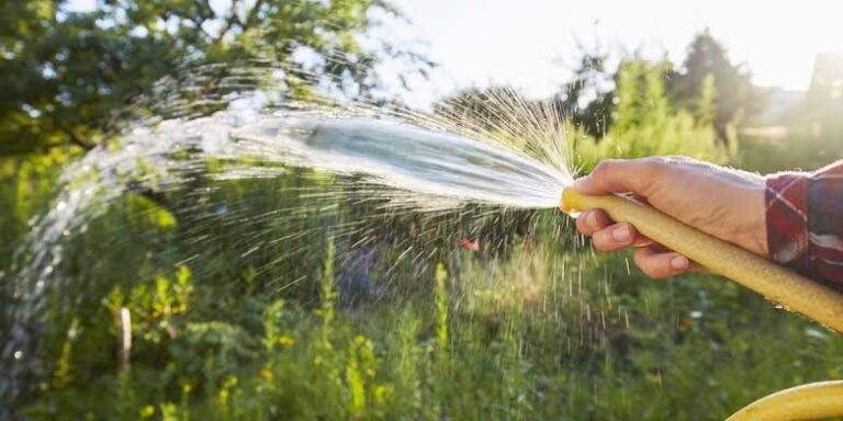 Millions More Britons Face Hosepipe Ban as UK Heatwave Raises Drought Fears