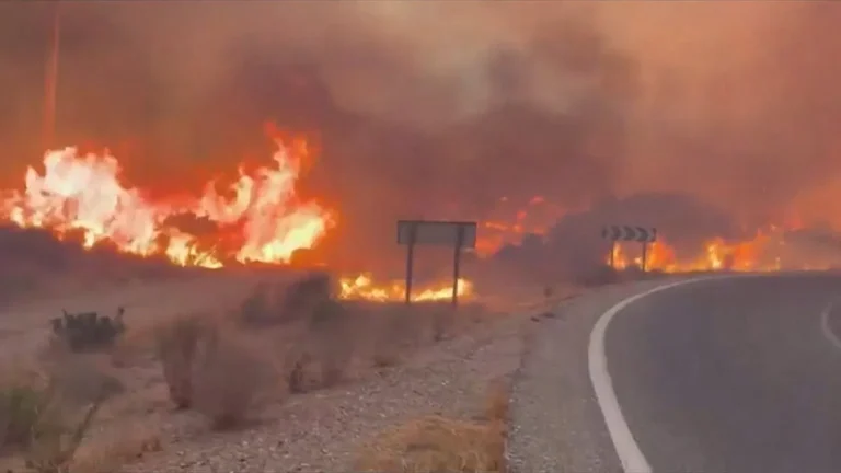 Deadly Wildfire in Southern Spain Claims 11 Lives, 19 Missing as Firefighters Battle Blaze