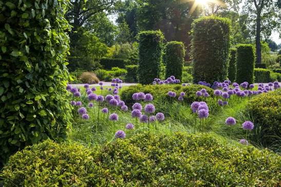 Plantation