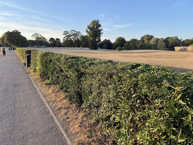 Rural England