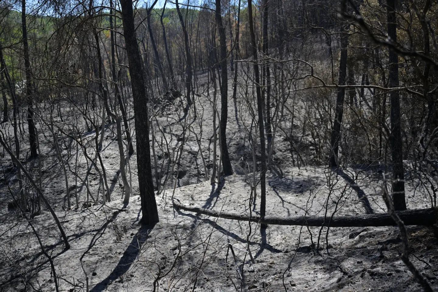 Wildfires