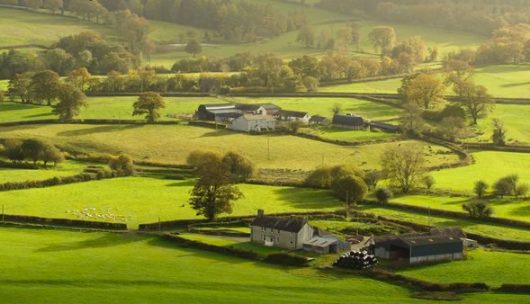 Government Declines to Set Date for Free Public Access to Land Ownership Data in England and Wales