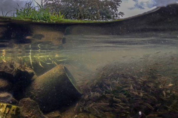 £3.7 Billion Tunnel Plan Proposed to End Sewage Discharges into Windermere